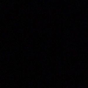 Meet your Posher, Darcie